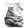 ФРЕЯ RPSB-0048 Могучий тигр Скетч для раскраш. чернографитными карандашами 29.5 х 20.5 см 1 л. . Фото 2.