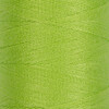 Швейные нитки (полиэстер) 40/2 Gamma 200 я 183 м №202 желто-зеленый Фото 1.
