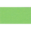 VISTA-ARTISTA Бумага цветная TKO-A2 300 г/м2 A2 42.5 х 60 см 51 светло-зеленый (light green) Фото 1.