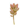 Искусственное растение Blumentag ASU-15 Декоративные элементы суккулент 4 х 11 см 1 шт. 01 Фото 2.