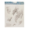 Книга Э Создавая драконов Руководство по рисованию главных мифических существ от концепт-художника Властелина колец Фото 3.