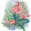 Кристальная (алмазная) мозаика  ФРЕЯ ALBP-281 постер Тропический фламинго 30 х 30 см Фото 1.