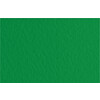 Fabriano Бумага для пастели Tiziano 160 г/м2 70 х 100 см лист 52811037 Biliardo/Темно-зеленый Фото 1.