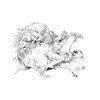 КР Раскраска-скетчбук Мир поразительных существ Кэна Мацуды серии Ты-художник Черная с цветком 99906837 Фото 6.