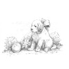 ФРЕЯ RPSB-0017 Крошка щенок Скетч для раскраш. чернографитными карандашами 29.7 х 21 см 1 л. . Фото 2.