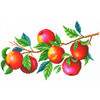 Канва/ткань с рисунком М.П.Студия СК-106 Урожай яблок 30 см х 20 см . Фото 2.
