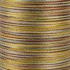 Нитки для вышивания SumikoThread JST1 меланж 50 100% шелк 250 м №702 Фото 2.
