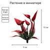 Искусственное растение Blumentag GPT-06 Декоративные элементы для садовых композиций Веточки 4 шт. 05 Фото 3.