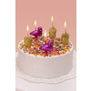 BOOMZEE Набор свечей для торта BCD-21 3.5 г 5 шт. 02_ананасы и фламинго Фото 2.