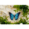 Набор для вышивания PANNA Живая картина JK-2235 Бабочка. Морфо адонис 13 х 13 см Фото 3.
