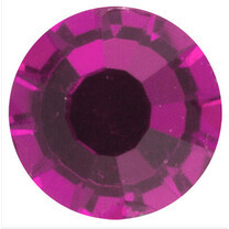 фуксия (Fuchsia)