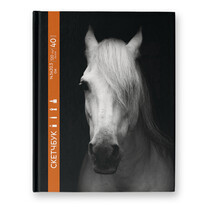 03_Horse in black
