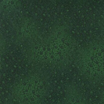 EY-4070-224 EVERGREEN