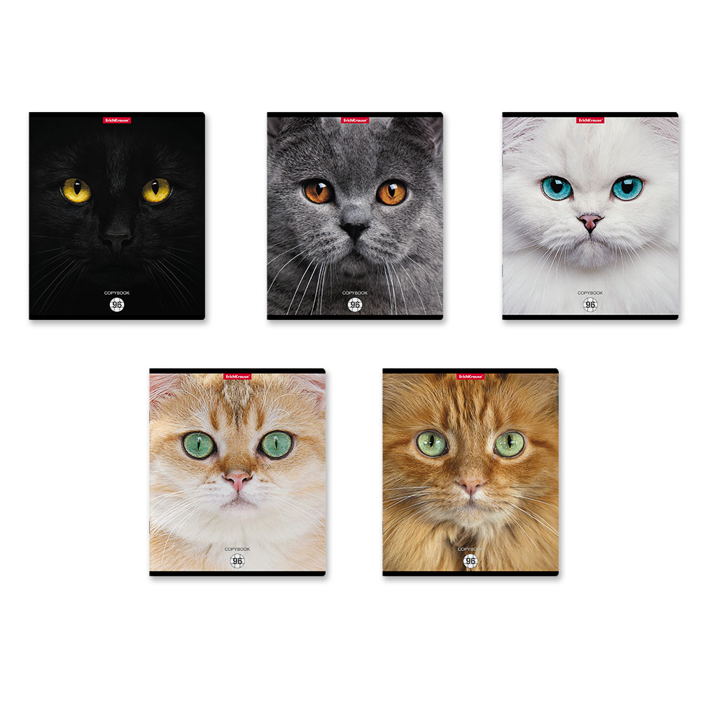 ErichKrause 58406 Тетрадь общая ученическая Cats A5+ 96 л. на скобе 60 г/кв.м клетка Фото 2.
