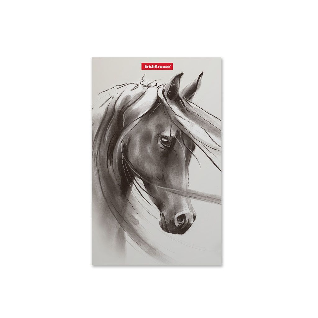 ErichKrause Записная книга A5- ( 112х181 мм) 32 л. точка Wild Horse 49816 Фото 3.