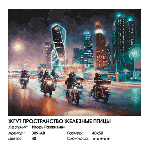 Белоснежка 309-AB Картина по номерам 40 х 50 см Жгут пространство железные птицы Фото 3.