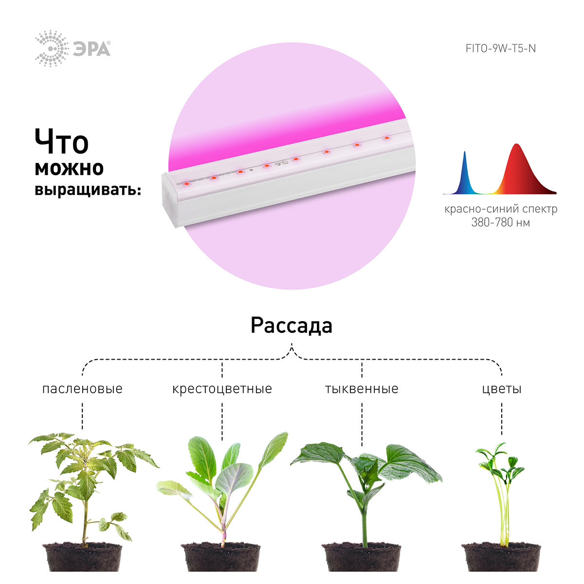 ЭРА Фитолампа светодиодная линейная красно-синего спектра 9 Вт FITO-9W-Т5-N Фото 3.