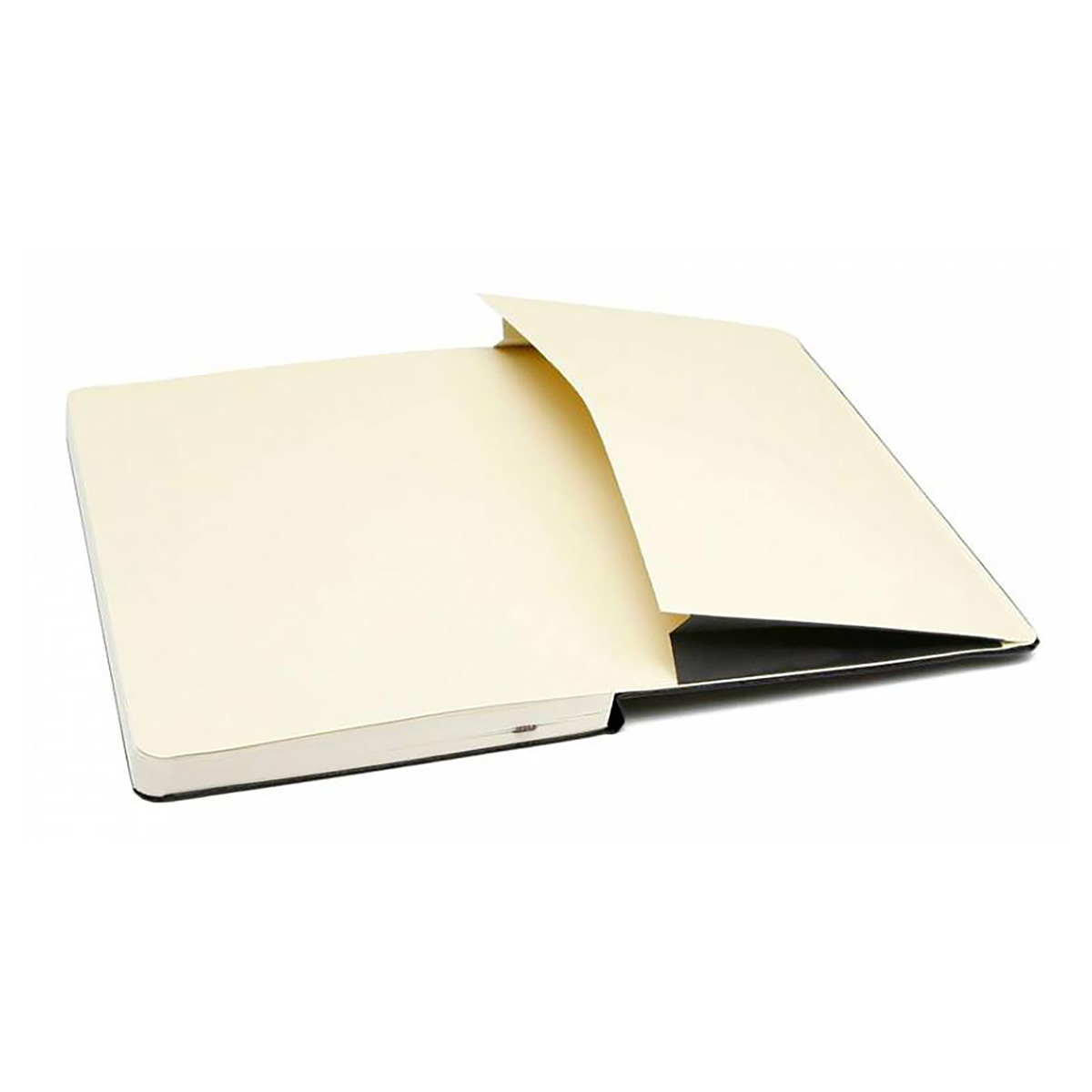 Moleskine Блокнот CLASSIC Large линейка ( 130 х 210 мм) 120 л. линия Красный Фото 5.