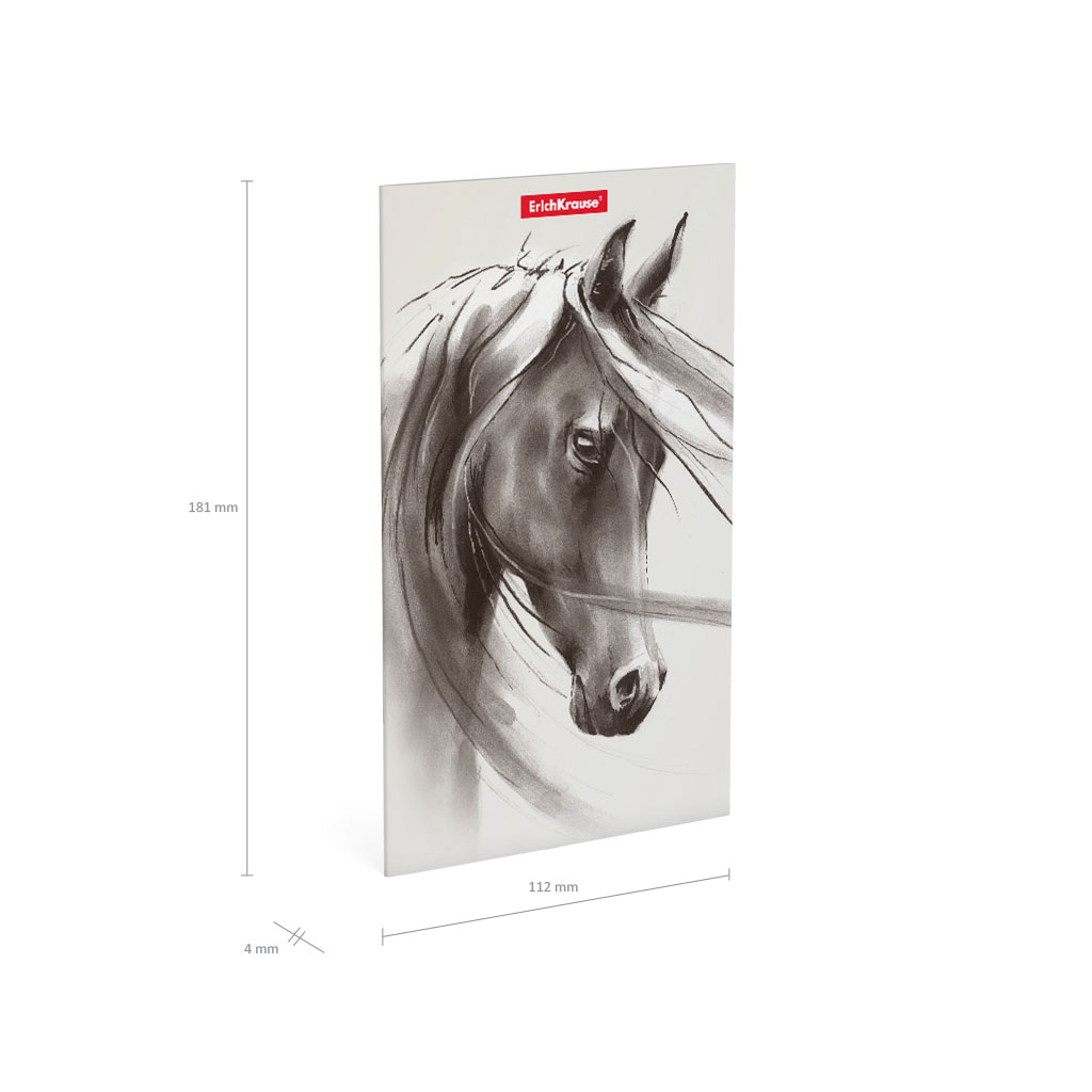 ErichKrause Записная книга A5- ( 112х181 мм) 32 л. точка Wild Horse 49816 Фото 7.