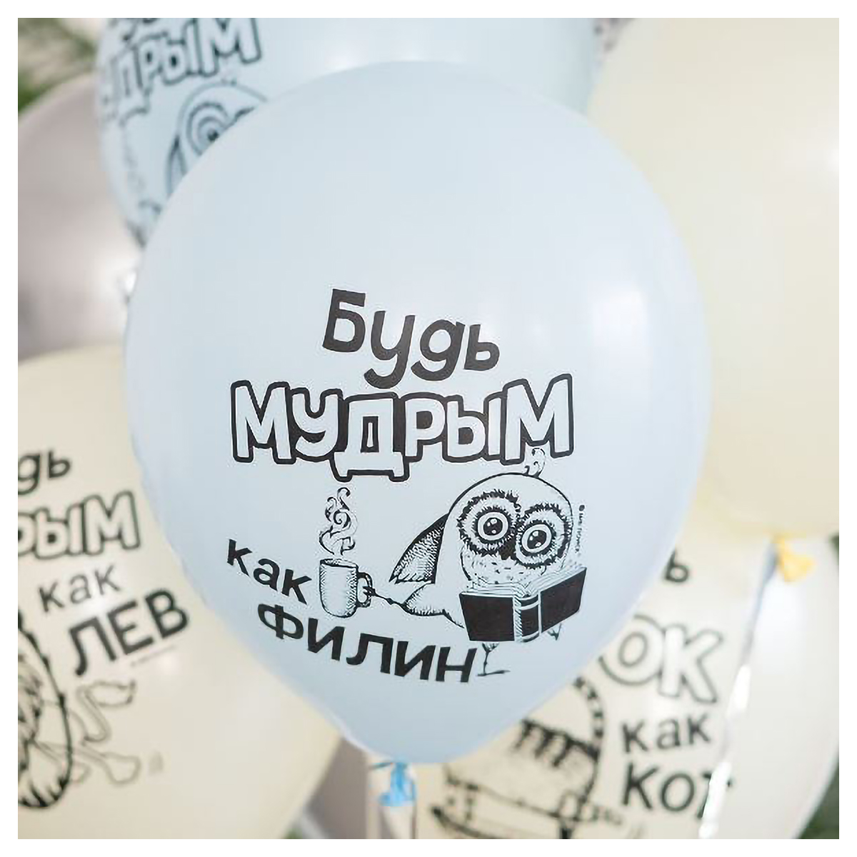 Патибум Набор шаров Ассорти с рис. 30 см 5 шт. Будь… 6084714 Фото 3.