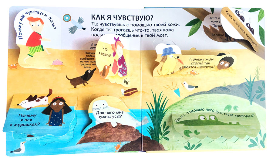 Р 40 окошек. Как я вижу, слышу и чувствую Фото 2.