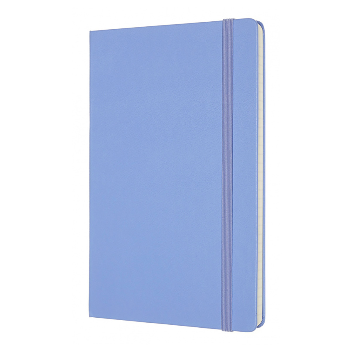 Moleskine Блокнот CLASSIC Large 1214858 ( 130х210 мм) 120 л. линия голубая гортензия Фото 2.