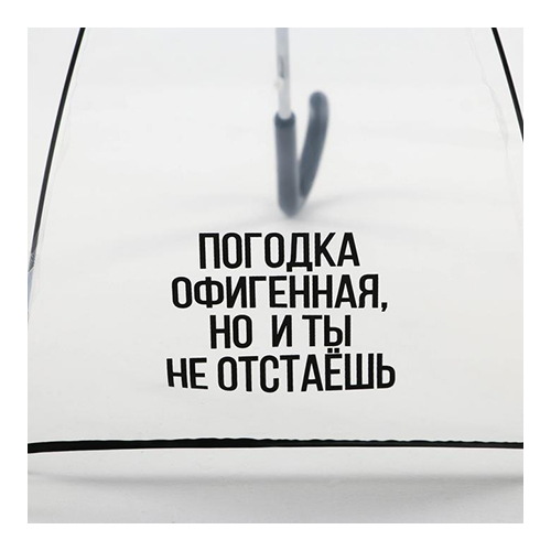 Зонт-купол Погодка офигительная, но и ты не отстаёшь полуавтомат прозрачный 7532620 Фото 2.