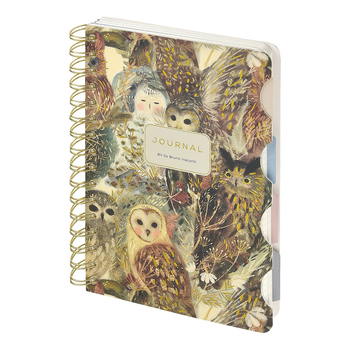 Bruno Visconti Записная книжка ART JOURNAL с разделителями A5 120 л. линия Волшебные совы 3-737/04 Фото 1.