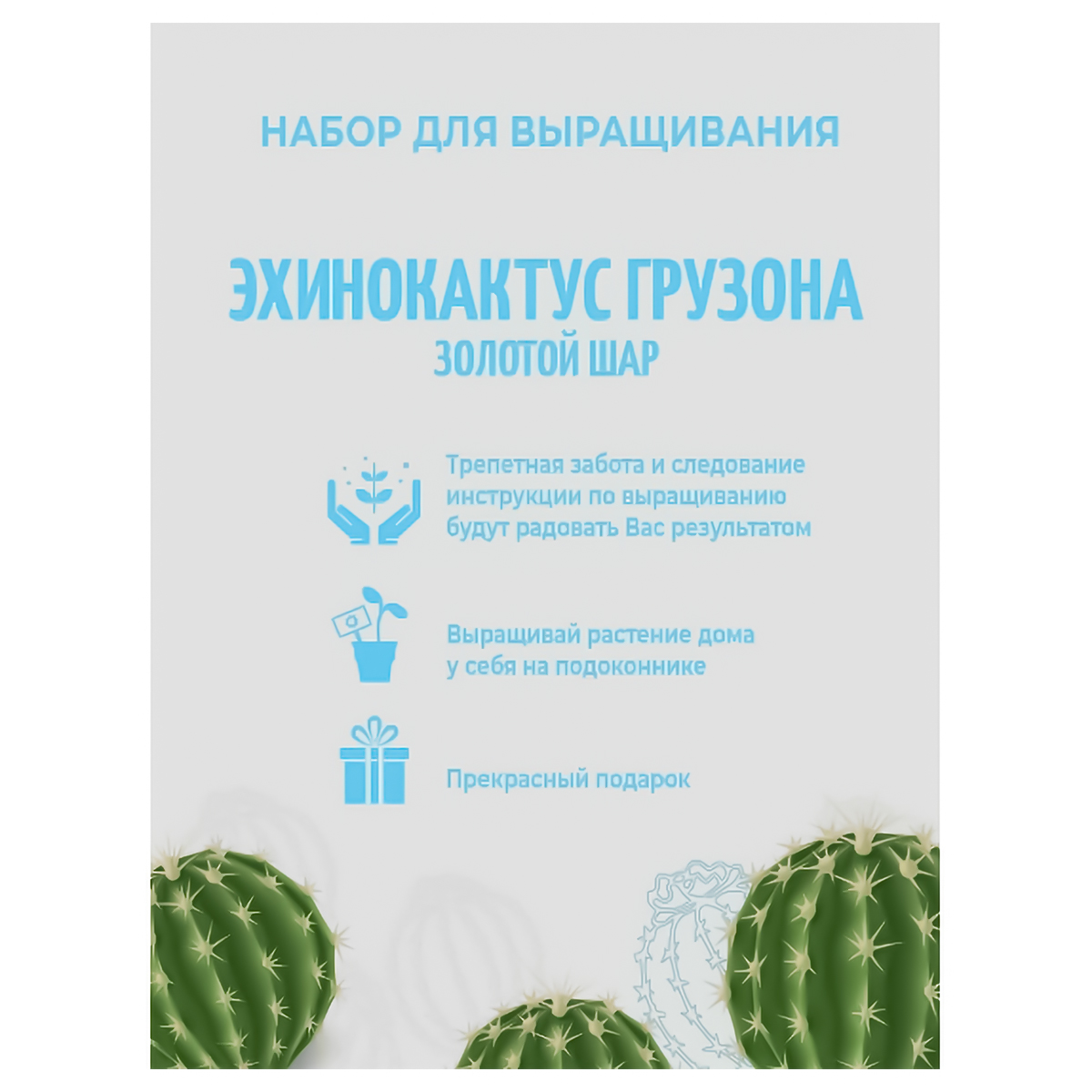 ЭкоКлуб Подарочный набор для выращивания Комнатные растения Эхинокактус Грузона Фото 2.