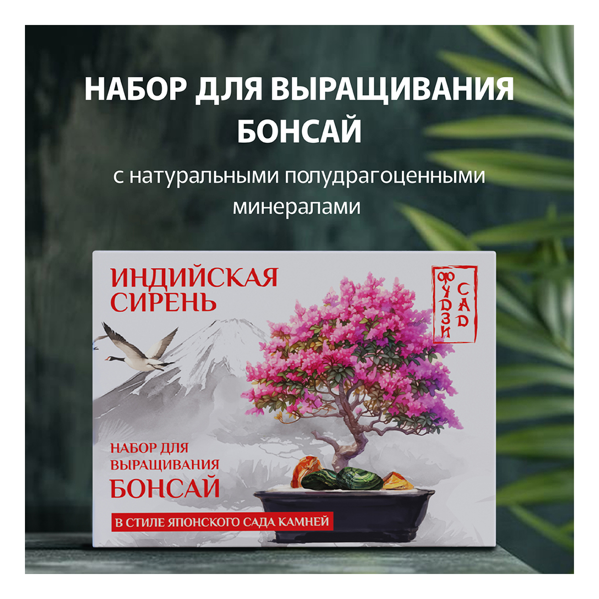 Фудзи сад Подарочный набор для выращивания Вырасти Бонсай дома Индийская сирень (лагерстремия) fg-002 Фото 1.