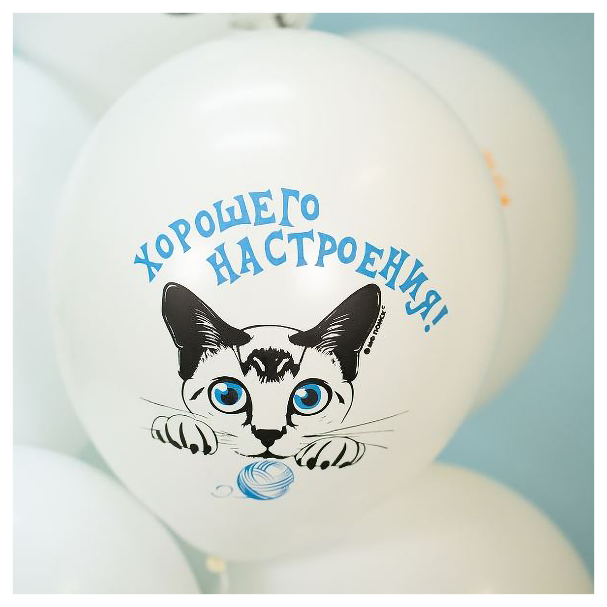 Патибум Набор шаров Ассорти с рис. 30 см 5 шт. Коты Пожелания 6084707 Фото 3.