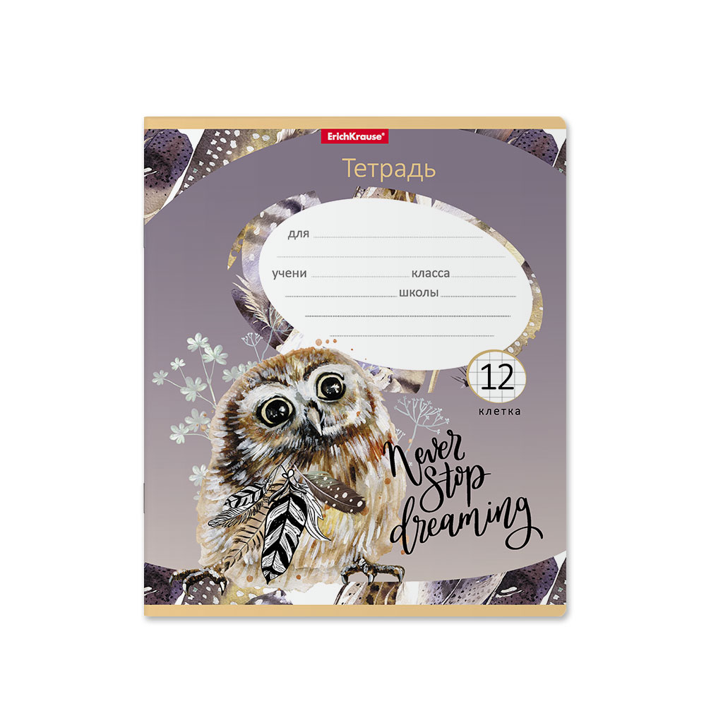 ErichKrause 52938 Тетрадь школьная ученическая, Dreamy Owl A5+ 170х203 мм 12 л. на скобе 60 г/кв.м клетка . Фото 1.