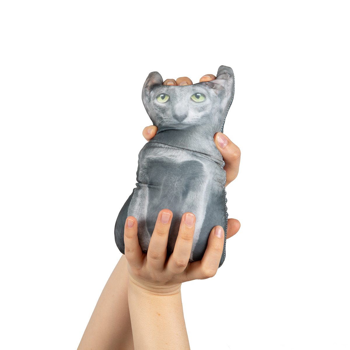 Miadolla  IAS-016 Кот ориентальный 11.9 х 27.1 см . Фото 5.