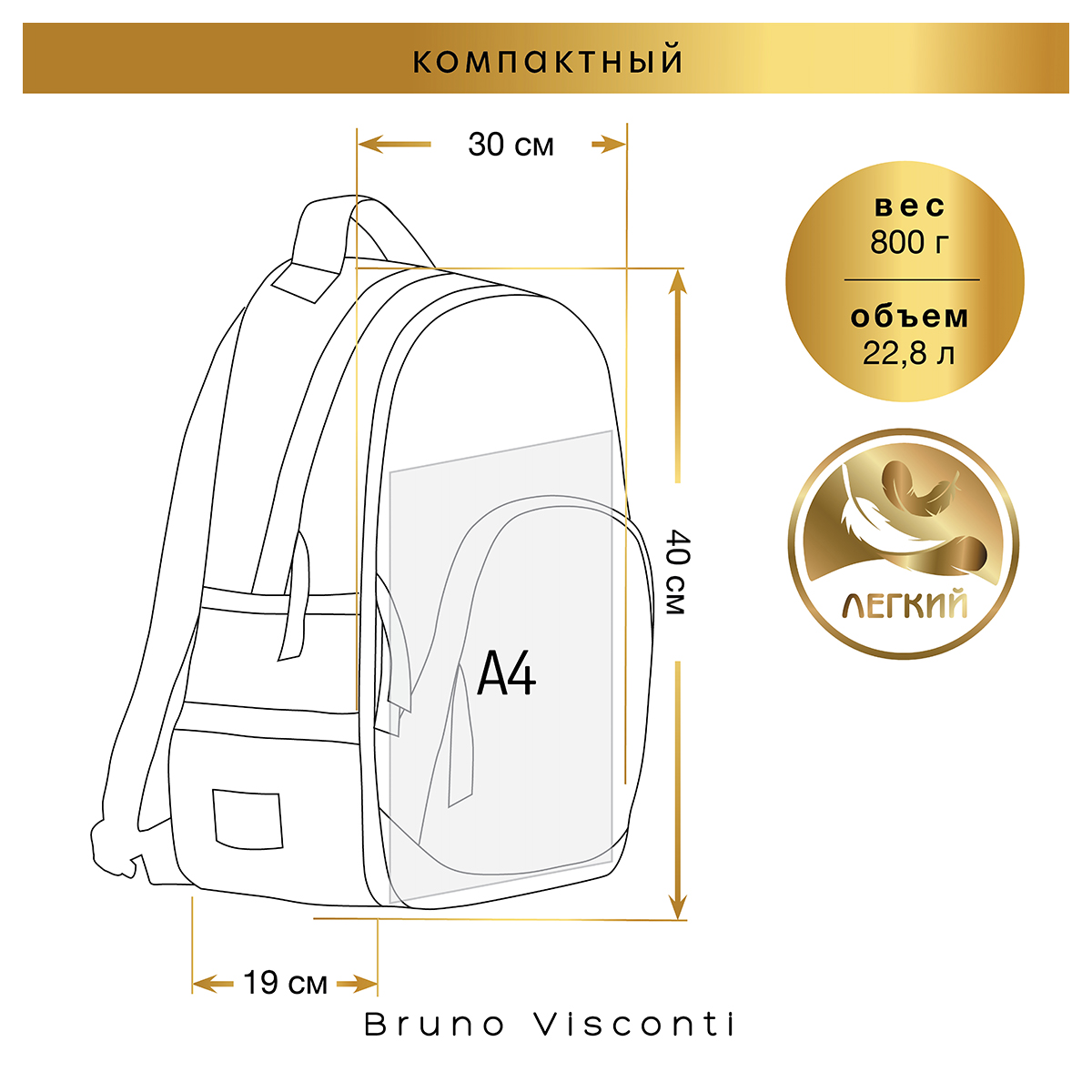 Bruno Visconti Рюкзак с эргономичной спинкой TOON TOWN.КРУТОЙ КОТИК 40 х 30 х 8.5 см 12-002-236/09 Фото 5.
