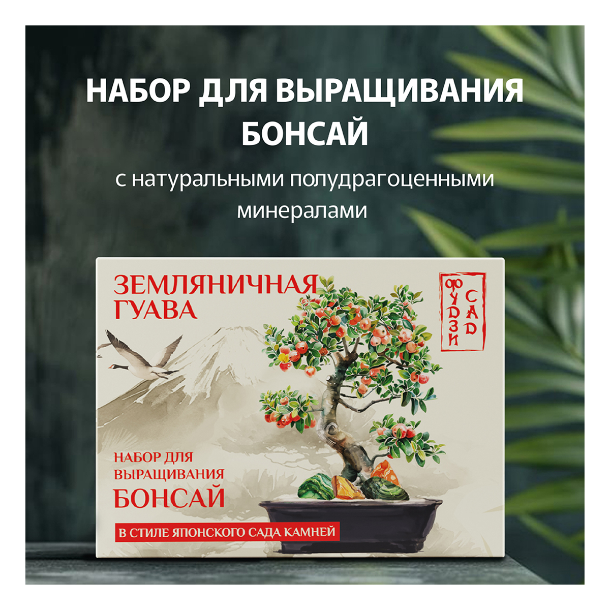 Фудзи сад Подарочный набор для выращивания Вырасти Бонсай дома Земляничная гуава fg-001 Фото 1.