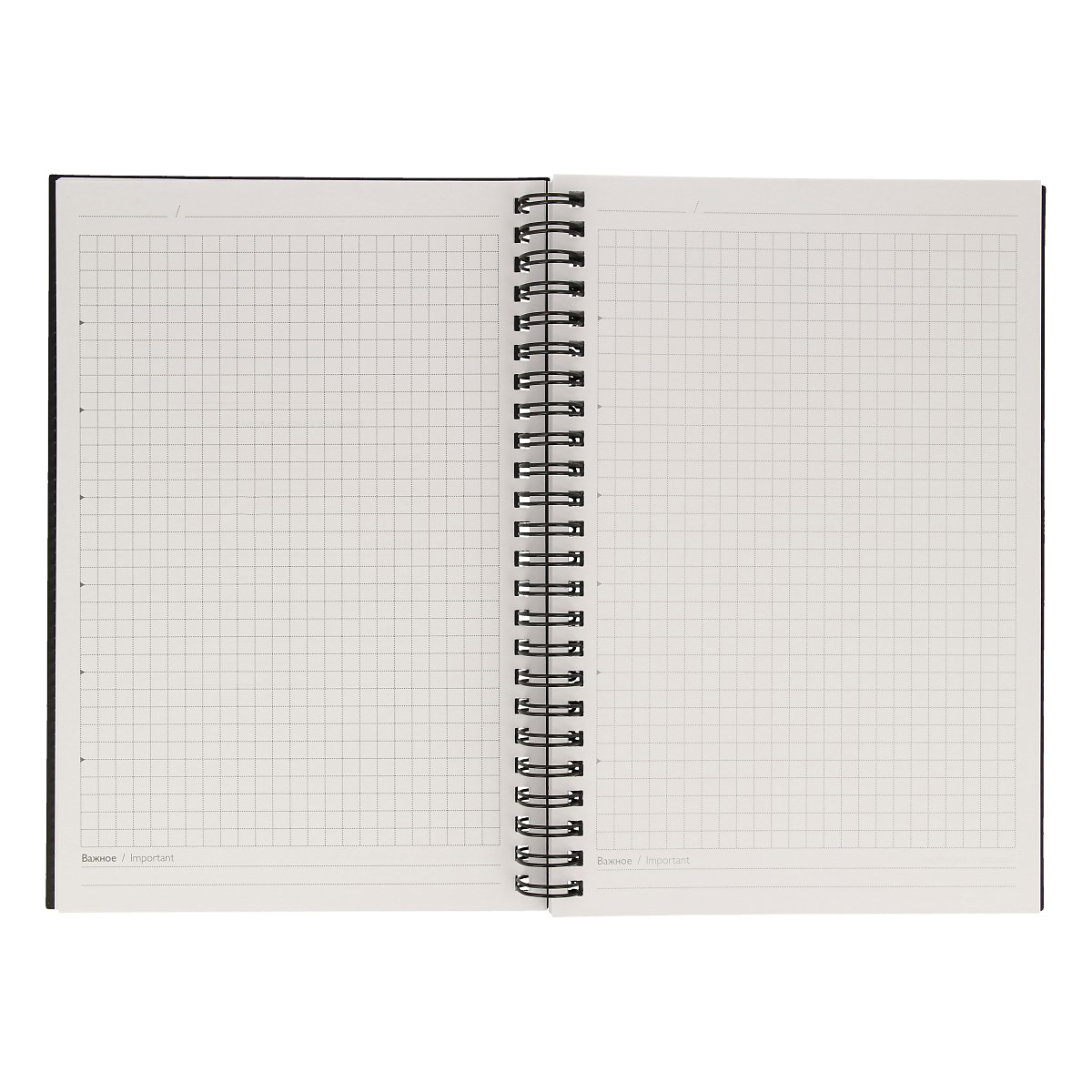Escalada Записная книжка A5 ( 146х213 мм) 96 л. клетка серый 60783 Фото 2.