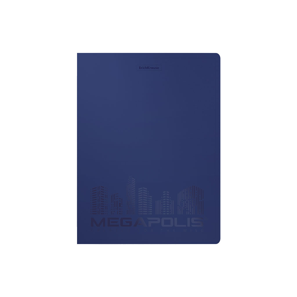 ErichKrause Папка файловая пластиковая MEGAPOLIS c 40 карманами A4 ( 24.5х31х5.5 см) синий 49935 Фото 3.