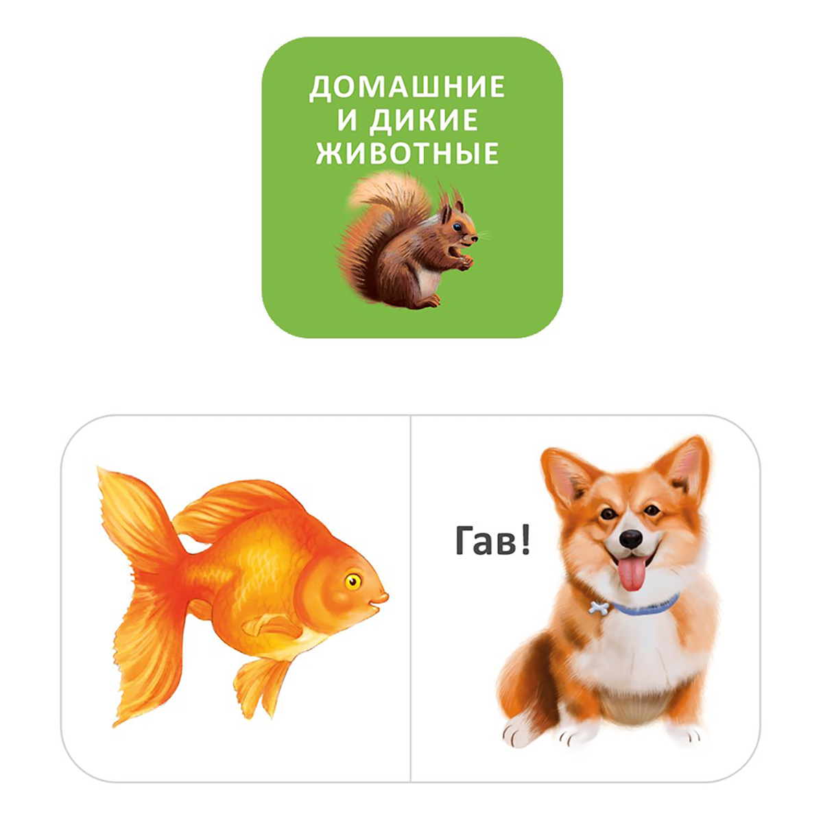 Р Мини-книжки для малыша 9 книжек кубиков УТ000002374 Фото 3.