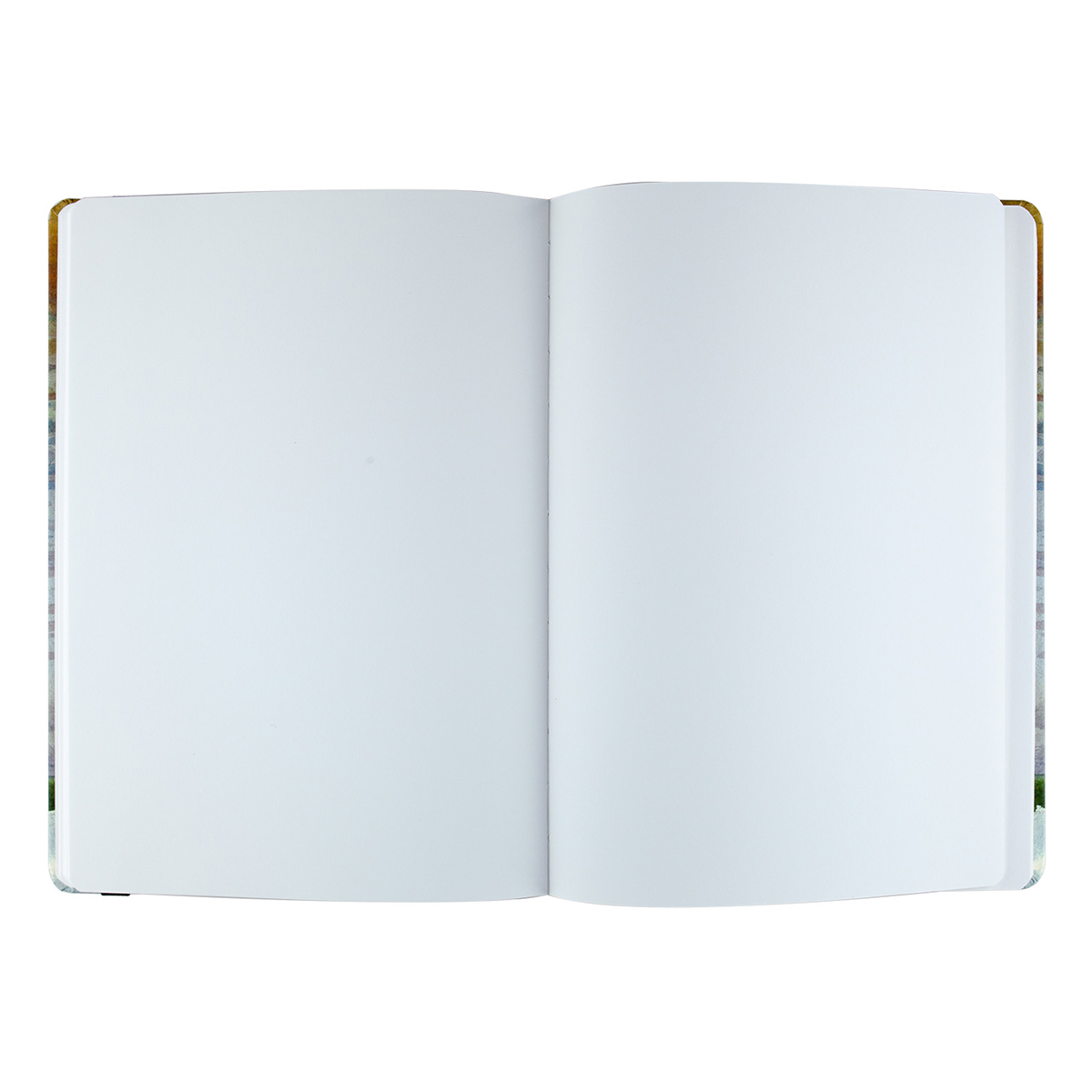 Bruno Visconti 1-513/02 Sketchbook Bv 100 г/м2 25 х 17.6 см сшивка 80 л. БЕЖЕВЫЙ Фото 4.