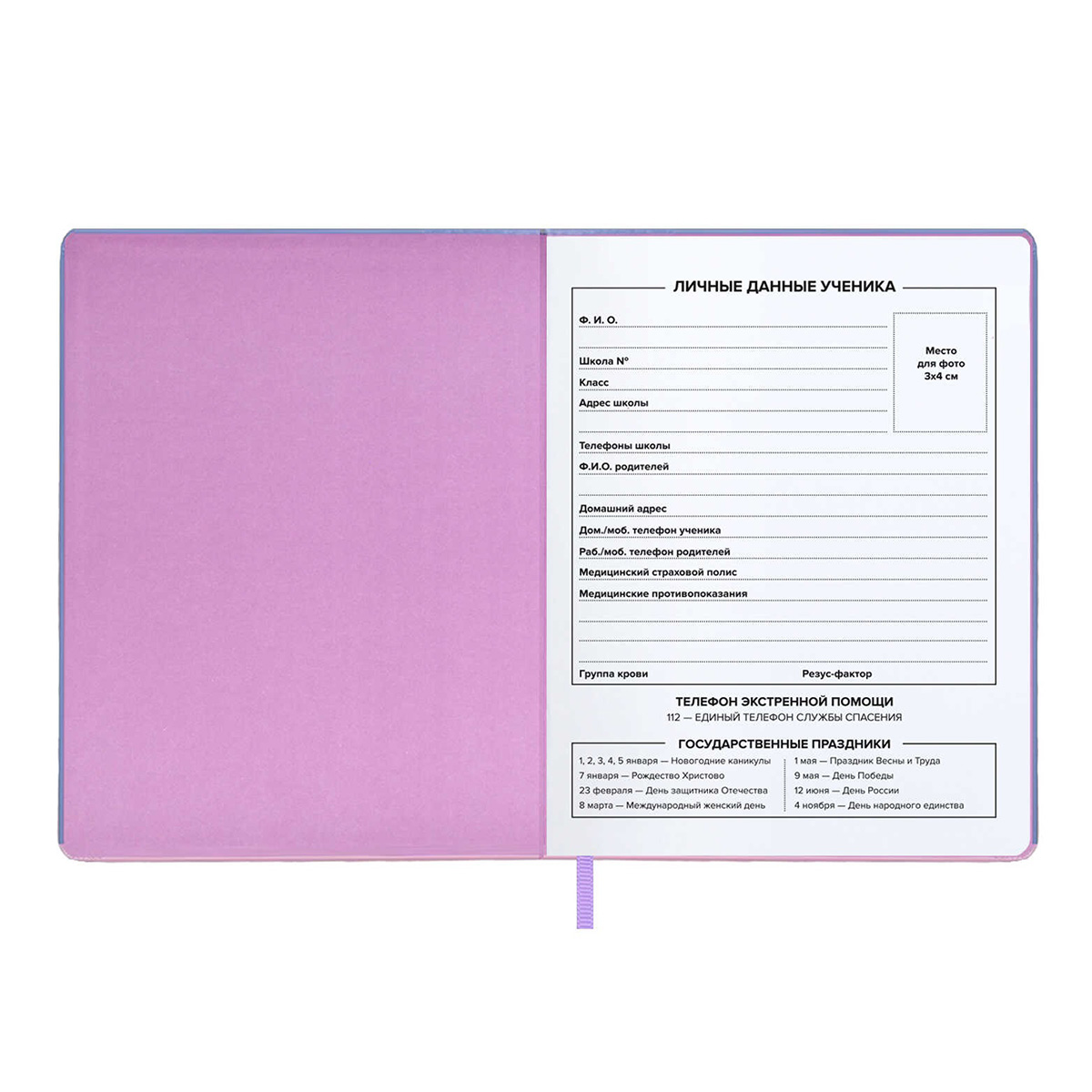Феникс + Дневник школьный Котики A5+ 48 л. сшивка 80 г/кв.м 66468 Фото 3.