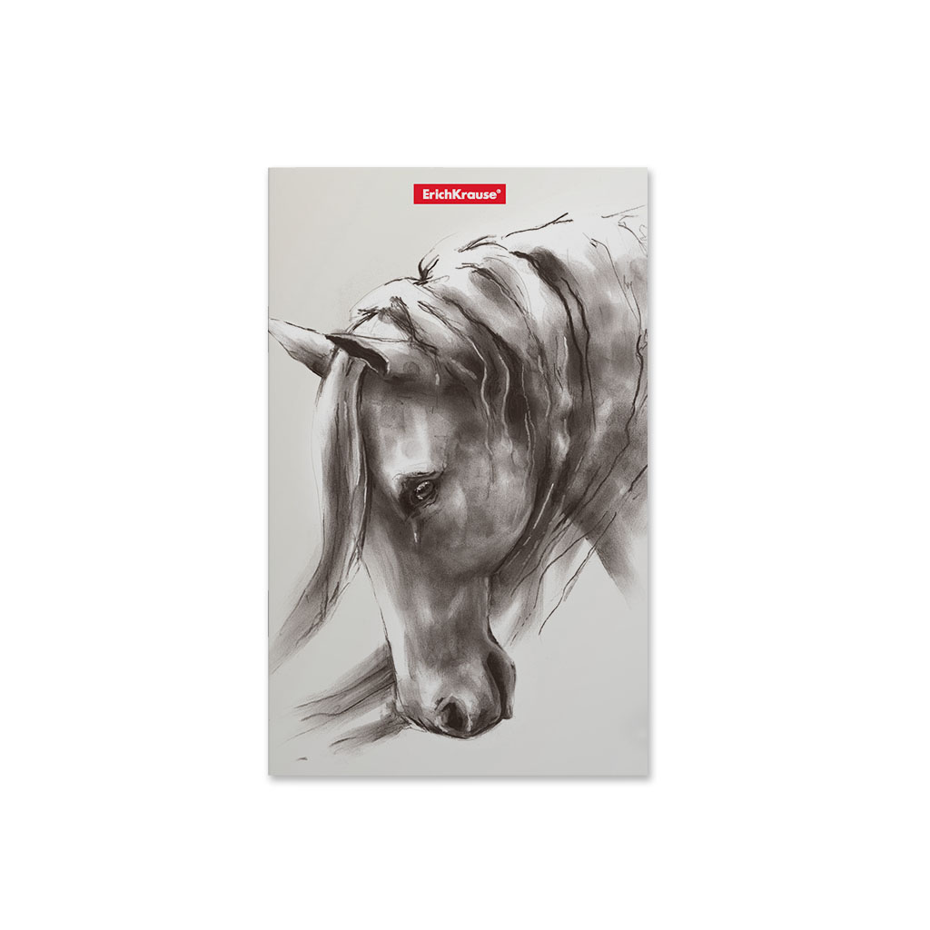 ErichKrause Записная книга A5- ( 112х181 мм) 32 л. точка Wild Horse 49816 Фото 5.