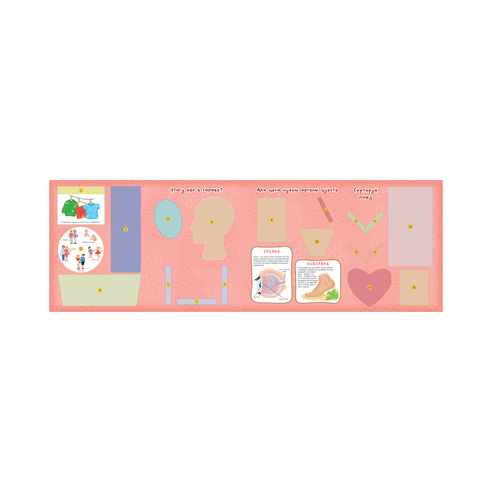 РОСМЭН Lapbook Тело человека 36301 Фото 3.