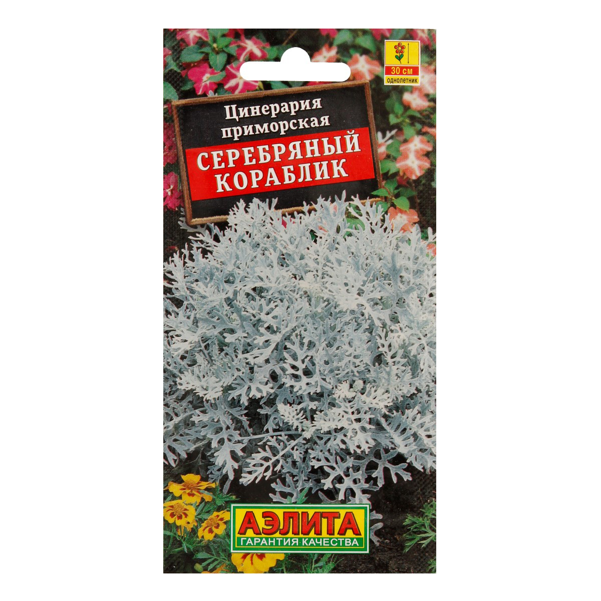 Аэлита Семена Цинерария Серебряный кораблик 0.05 г Фото 1.