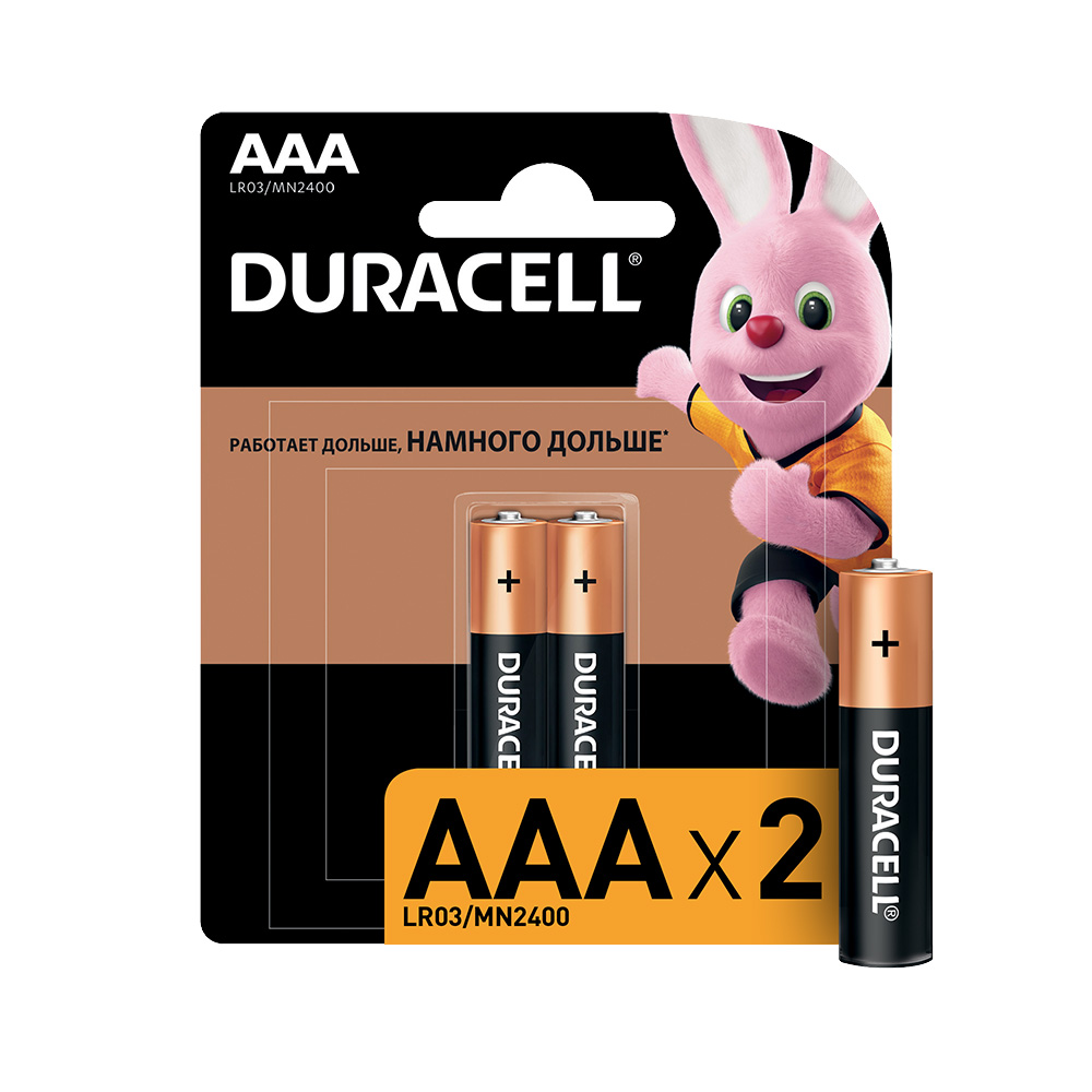 Duracell Элемент питания 2 шт LR03-2BL BASIC Б0026812 Фото 1.