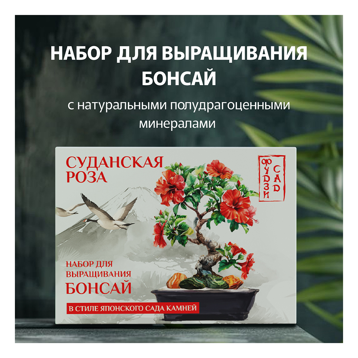 Фудзи сад Подарочный набор для выращивания Вырасти Бонсай дома Суданская роза (гибискус сабдарифа) fg-006 Фото 1.