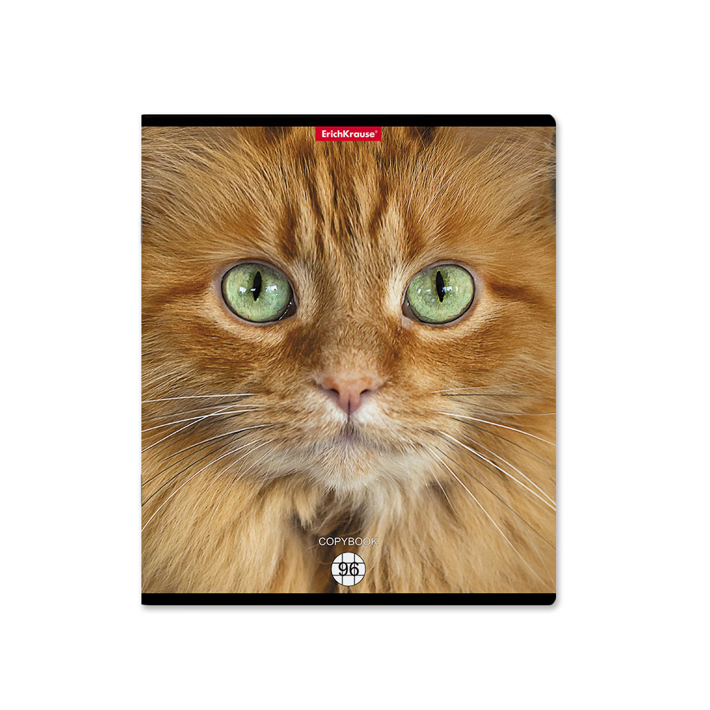 ErichKrause 58406 Тетрадь общая ученическая Cats A5+ 96 л. на скобе 60 г/кв.м клетка Фото 7.