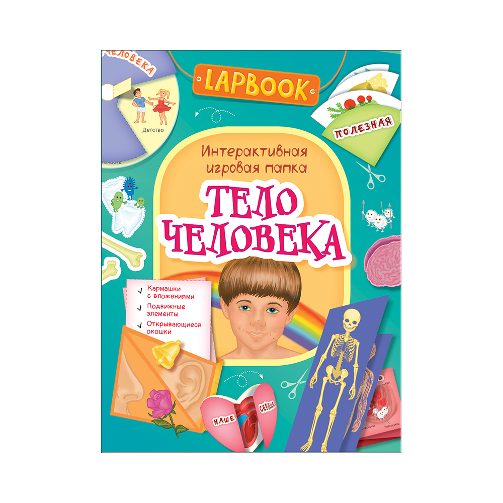 РОСМЭН Lapbook Тело человека 36301 Фото 1.