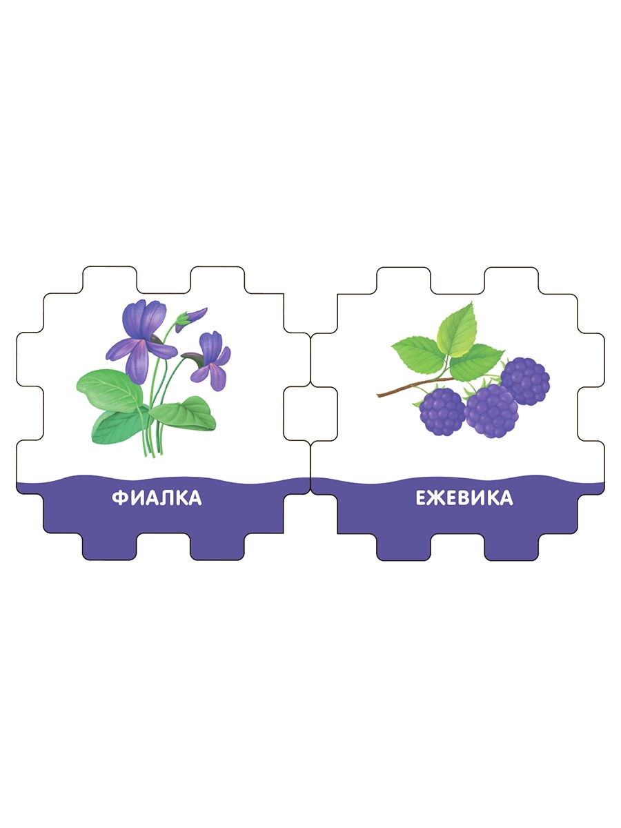 Р Книжный кубик. Цвета Фото 4.