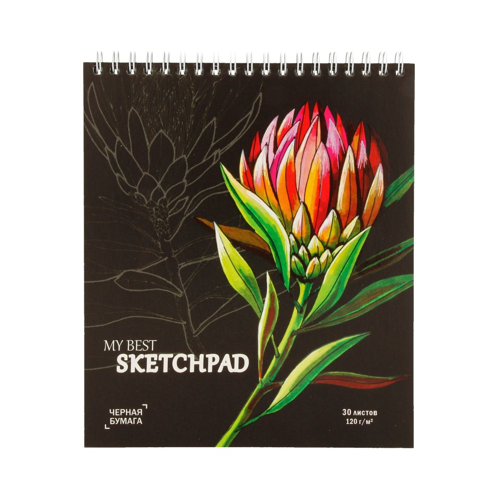 Феникс + Скетчпад Красный цветок 120 г/м2 21 х 17 см на гребне 30 л. 50819 Фото 1.