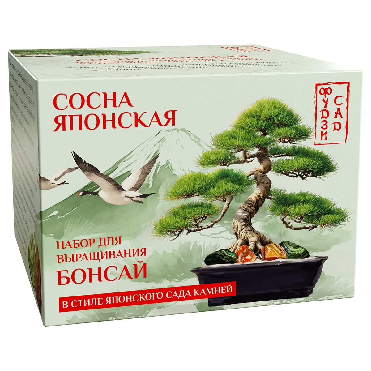 Фудзи сад Подарочный набор для выращивания Вырасти Бонсай дома Сосна японская fg-009 Фото 1.